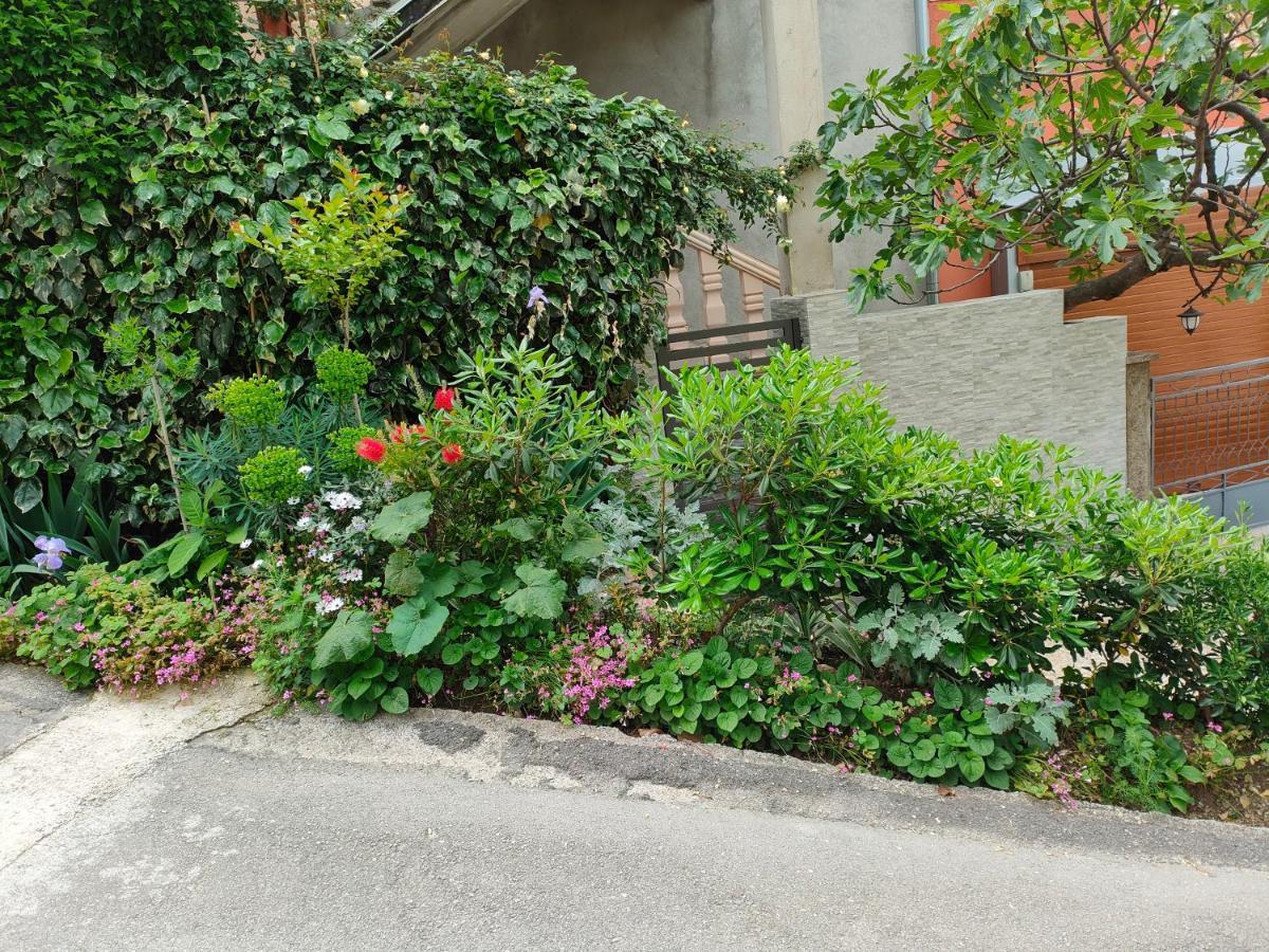 Studio Apartman Rea Kotor Kültér fotó