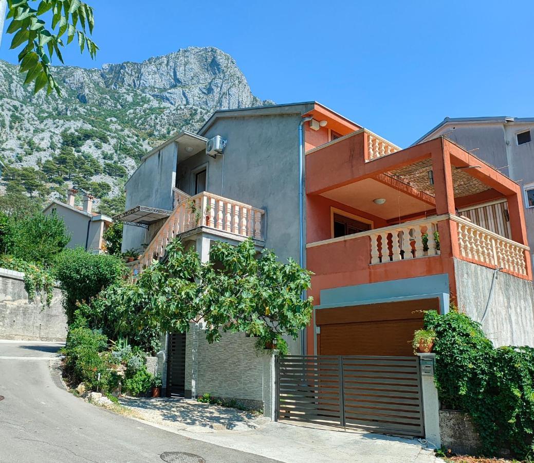 Studio Apartman Rea Kotor Kültér fotó