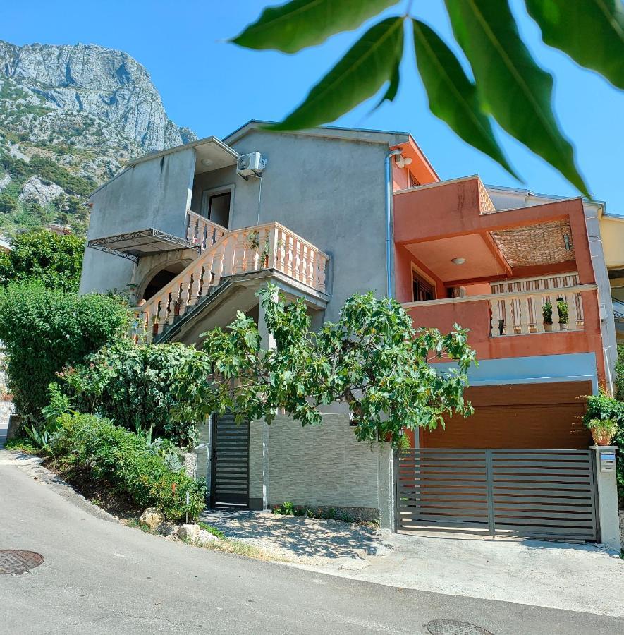 Studio Apartman Rea Kotor Kültér fotó
