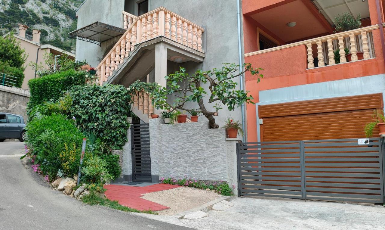 Studio Apartman Rea Kotor Kültér fotó